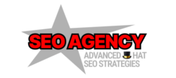 seo agency 4 plastic surgeons logo
